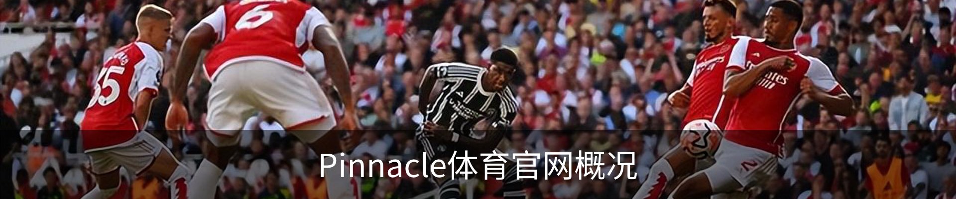 Pinnacle体育官网概况